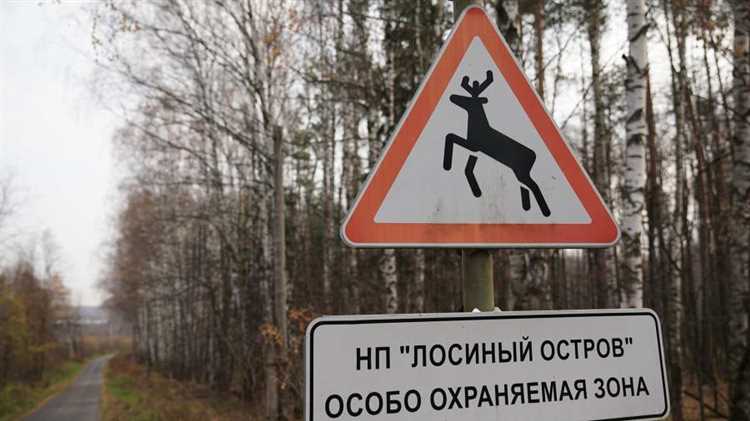 Мера наказания и возможные санкции