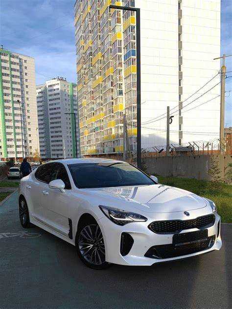 Stinger как символ статуса в Корее