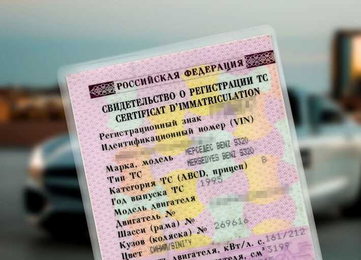 Какие данные можно получить из реестров?