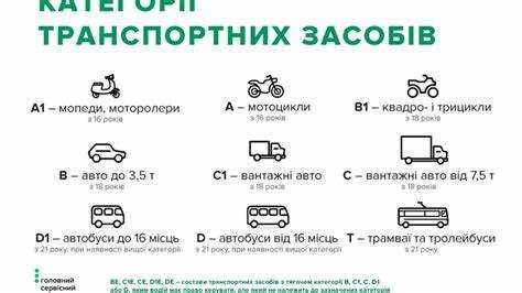 В случае дорожно-транспортного происшествия сотрудник, управляющий общественным транспортом, обязан действовать в строгом соответствии с установленными нормами. Важно понимать, что в таких ситуациях есть чёткие правила, которые защищают интересы человека за рулём и помогают правильно действовать для минимизации последствий происшествия. Основной задачей становится не только сохранение порядка, но и обеспечение безопасности всех участников происшествия.