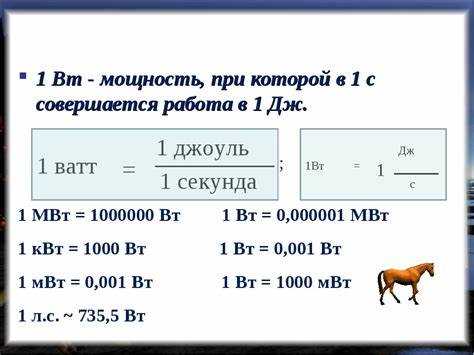 Мифы и правда о кабанах