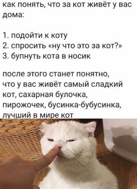 Основные причины быстрого выхода из строя